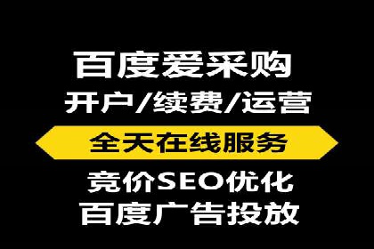 竞价托管实战案例：优化广告投放策略